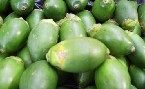 长期嚼槟榔小心口腔癌